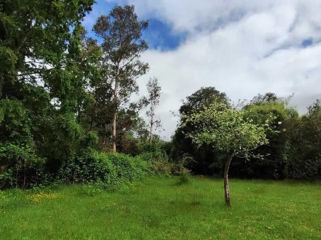 Terreno en venta en Paillaco, Provincia de Valdivia