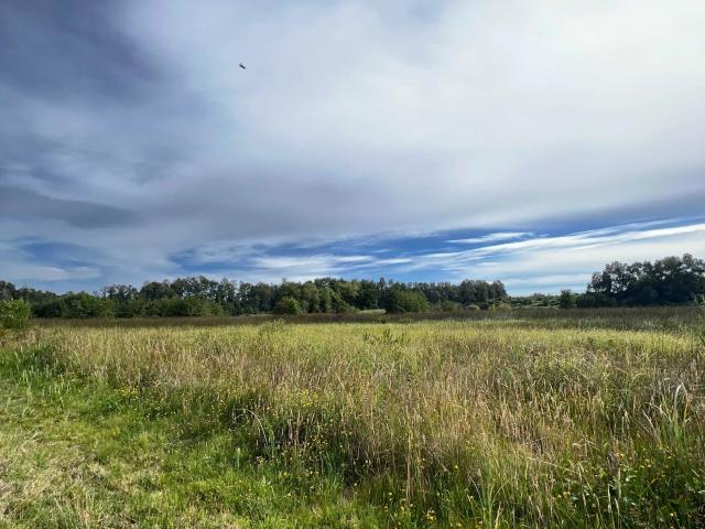 Terreno en venta en Valdivia, Los Ríos