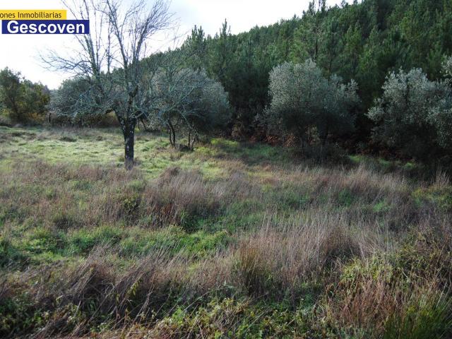 Terreno en venta en Valencia De Alcántara