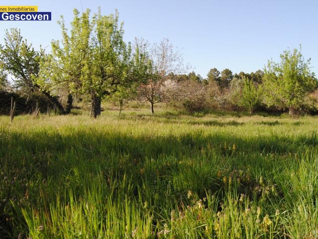 Terreno en venta en Valencia De Alcántara