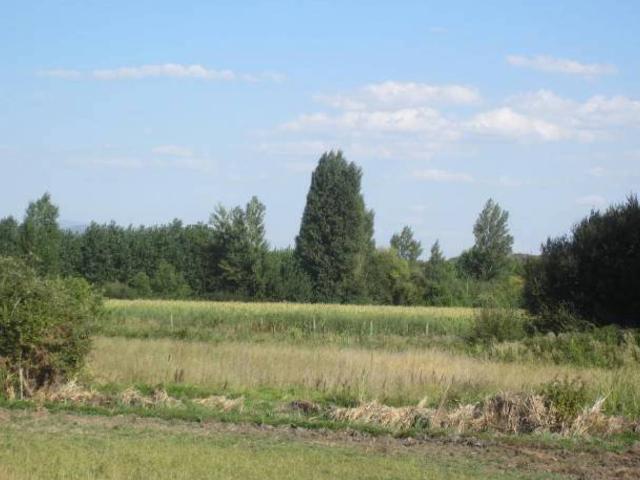 Terreno en venta en Ciudad Rodrigo, Castilla y León