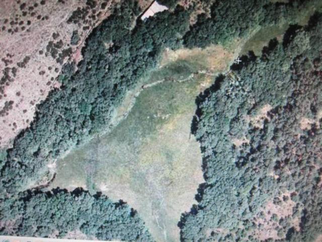 Terreno en venta en Navasfrías, Castilla y León