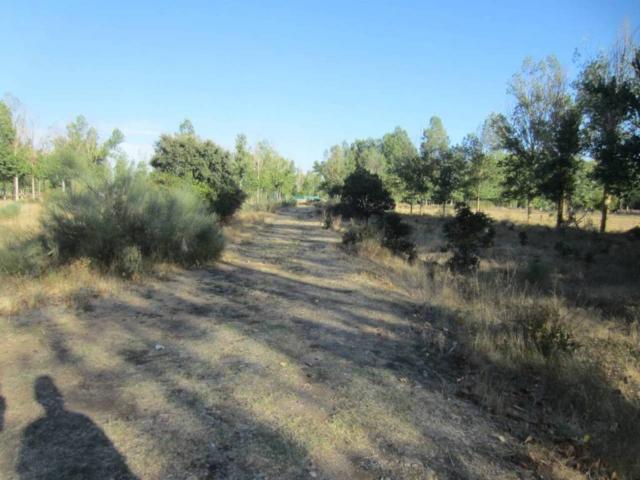 Terreno en venta en Ciudad Rodrigo, Castilla y León