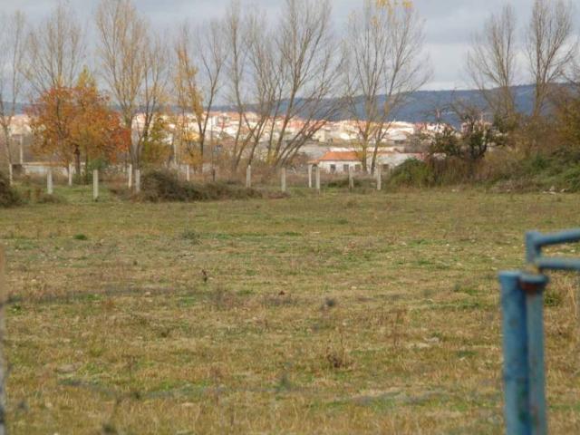 Terreno en venta en Ciudad Rodrigo, Castilla y León