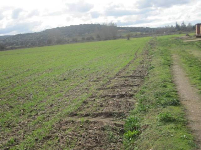 Terreno en venta en Ciudad Rodrigo, Castilla y León
