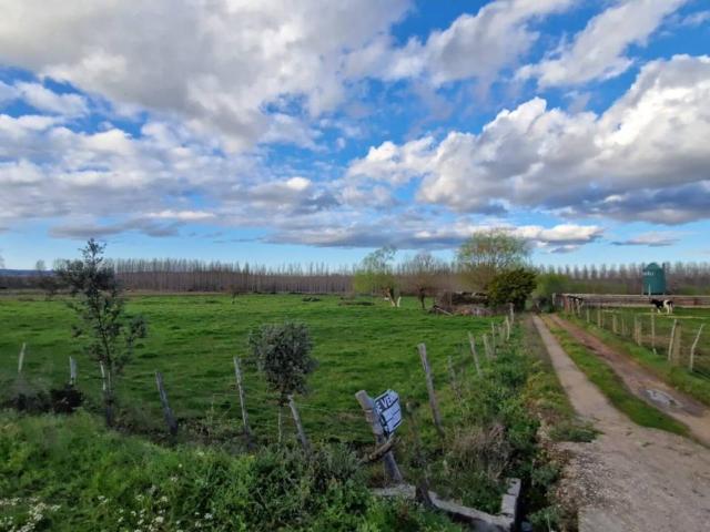 Terreno en venta en Ciudad Rodrigo, Castilla y León
