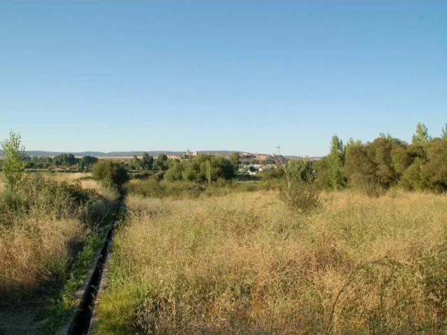 Terreno en venta en Ciudad Rodrigo, Castilla y León
