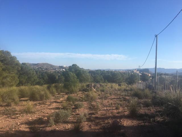Terreno en venta en Casas de Santa Leocadia, Bajo Guadalentín