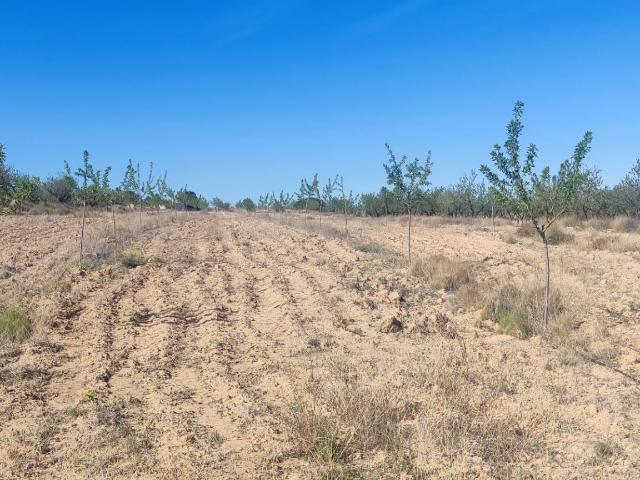 Terreno en venta en Las Canales, Bajo Guadalentín