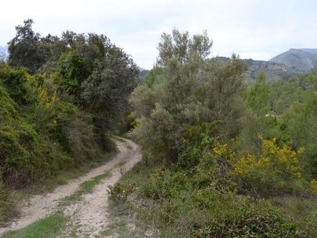 Terreno en venta en la Marina Baixa, Valencia