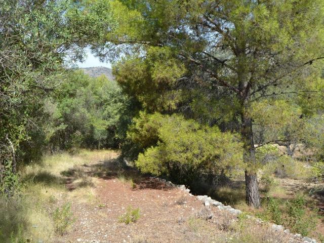 Terreno en venta en la Marina Baixa, Valencia
