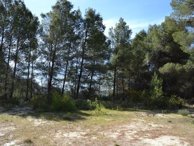 Terreno en venta en la Marina Baixa, Valencia