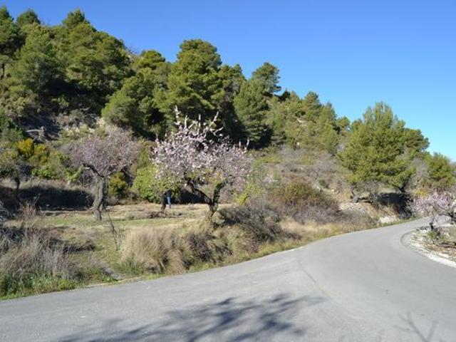 Terreno en venta en la Marina Baixa, Valencia