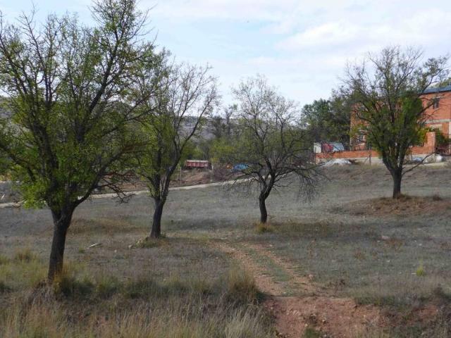 Terreno en venta en Cañete, Castilla-La Mancha