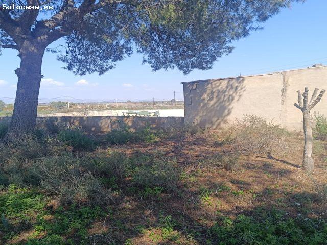 Local Comercial en venta en la Marina, el Baix Vinalopó
