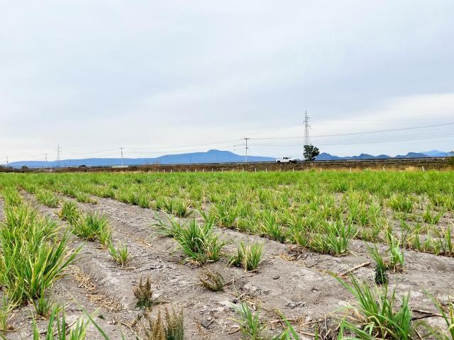 Terreno en venta en Hostotipaquillo, Jalisco