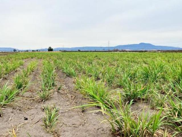 Terreno en venta en Hostotipaquillo, Jalisco