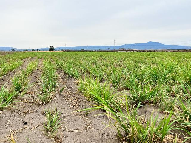Terreno en venta en Hostotipaquillo, Jalisco