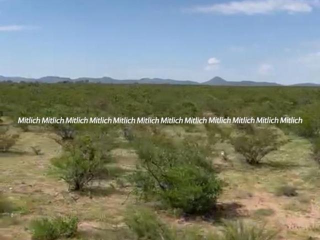Terreno en venta en Madera, Chihuahua