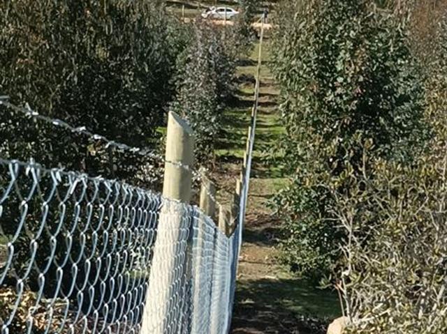 Parcela en Venta en 21 DE MAYO, LA ESTRELLA, BERNARDO O´HIGGINS