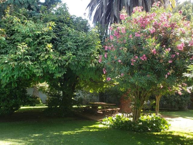 Parcela en Venta en 70 mts al oriente ruta J60 entre Rauco y Curicó