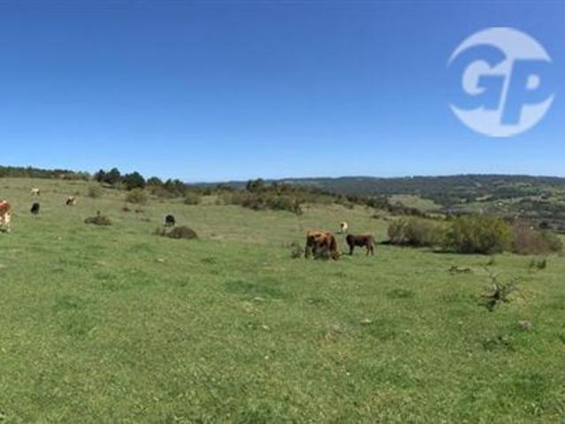 Parcela en Venta en A34404 Venta Parcelas desde 5000Mts2 Quellon Chiloé
