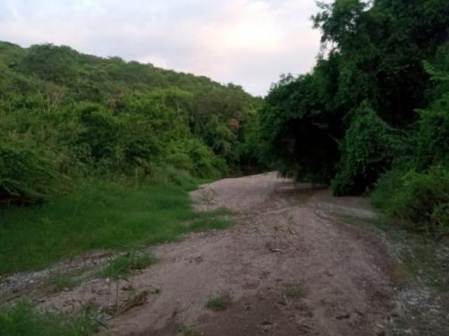 Rancho en venta en Concordia, Sinaloa