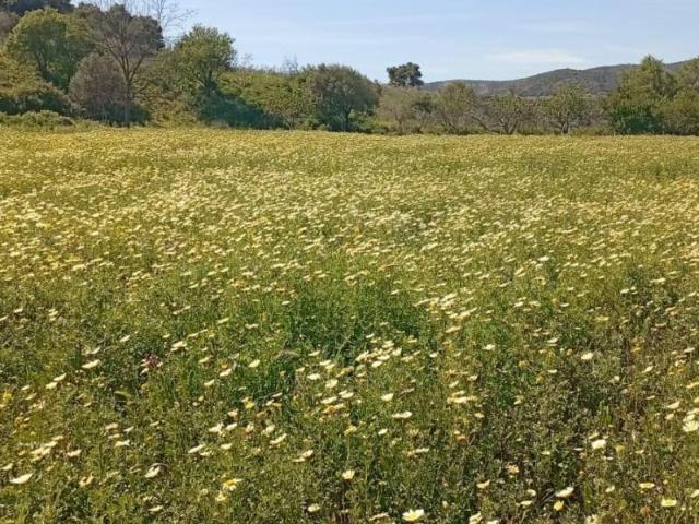 Terreno en venta en Valle del Guadalhorce, Andalucía