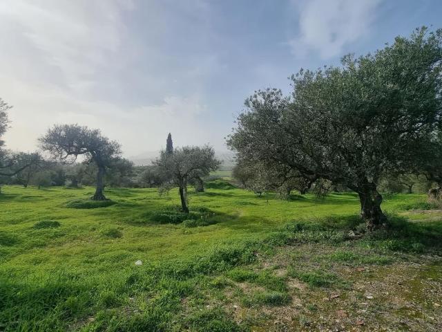 Terreno en venta en Alhaurín El Grande