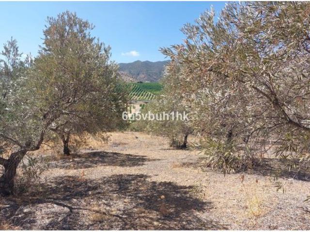 Local Comercial en venta en El Puente, Valle del Guadalhorce