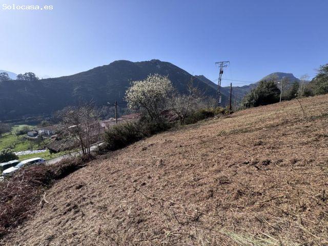 Local Comercial en venta en Veguín, Oviedo