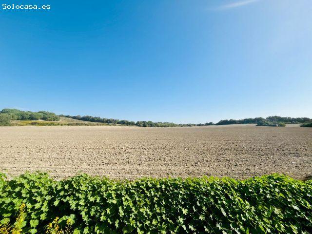 Local Comercial en venta en Pla de Mallorca, Baleares