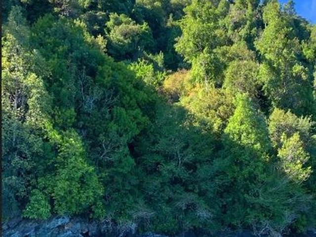 Parcela en Venta en BAHIA DE PUERTO CISNES