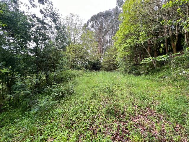 Terreno en venta en Baralla, Senra