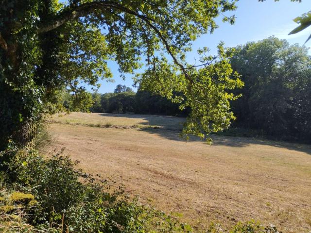 Terreno en venta en Baldomar, Terra Chá