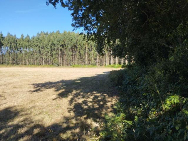 Terreno en venta en Terra Chá, Galicia