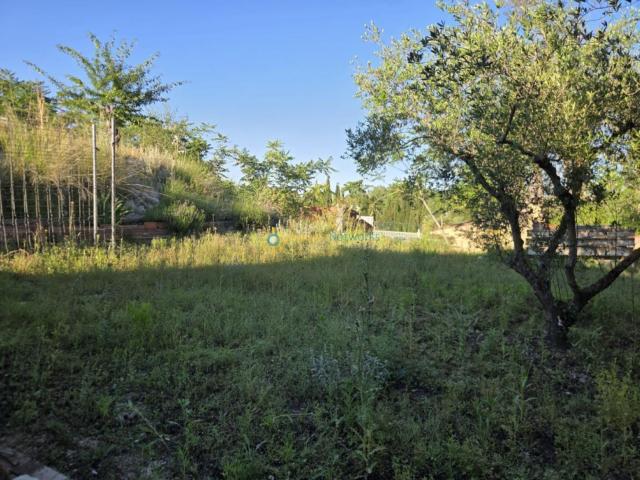 Terreno en venta en Bèlgida, València / Valencia