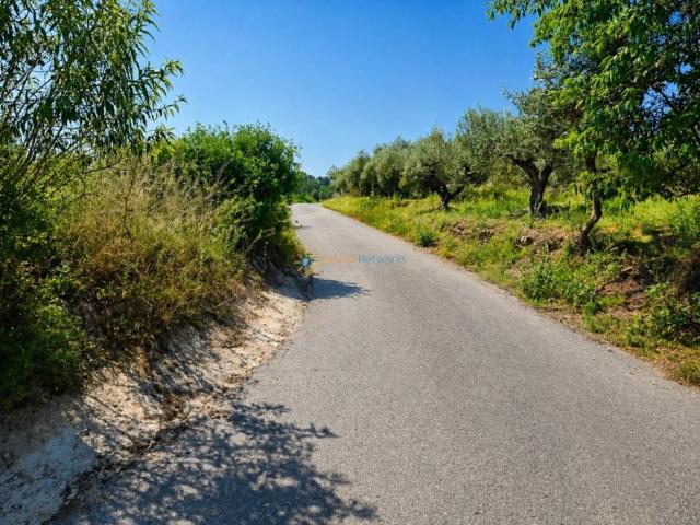 Terreno en venta en la Vall d'Albaida, Valencia