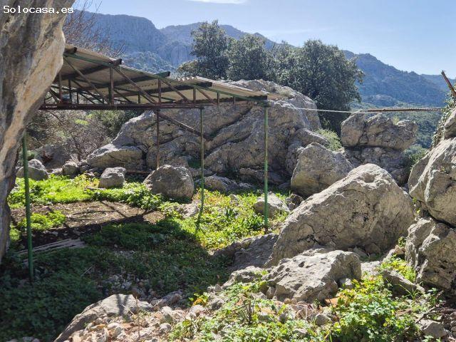 Local Comercial en venta en Sierra de Cádiz, Andalucía