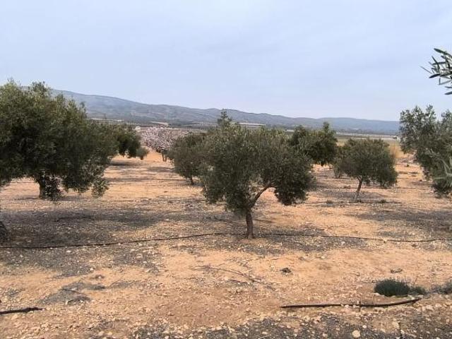 Terreno en venta en Beneixama