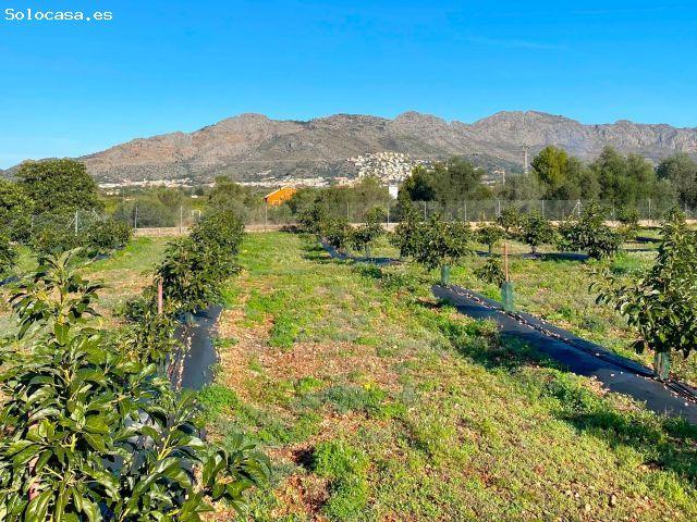 Local Comercial en venta en la Marina Alta, Valencia