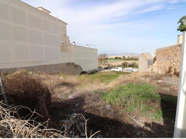 Local Comercial en venta en el Baix Segura / La Vega Baja, Valencia