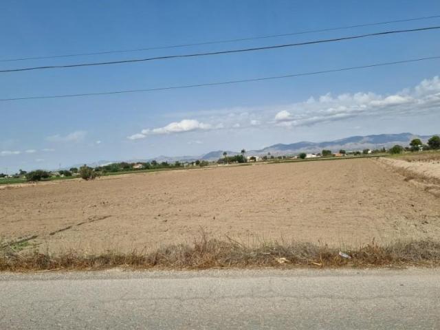 Terreno en venta en el Baix Segura / La Vega Baja, Valencia