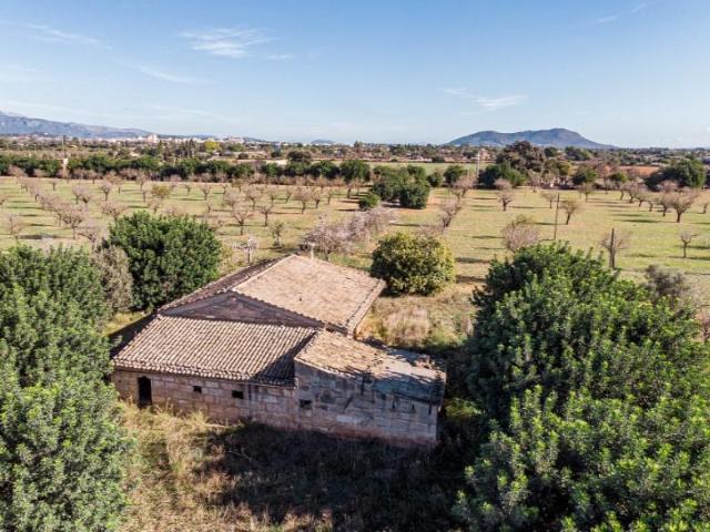 Terreno en venta en Binissalem
