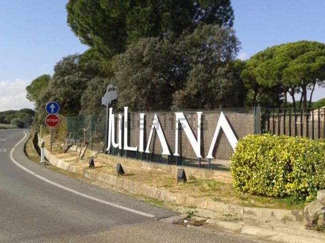 Terreno en venta en Bollullos De La Mitación