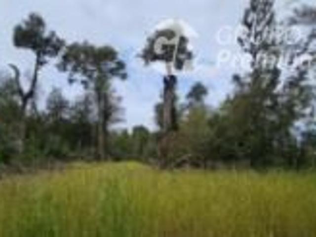 Parcela en Venta en BP69178 Venta Parcelas Malulco Natri 5000Mts SIN COMISIÓN