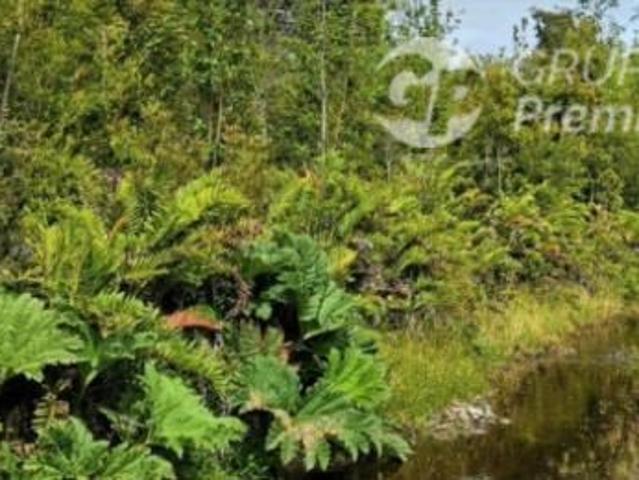 Parcela en Venta en BP69178 Venta Parcelas Malulco Natri 5000Mts SIN COMISIÓN