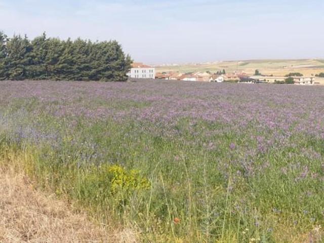 Terreno en venta en Cabrerizos, Castilla y León