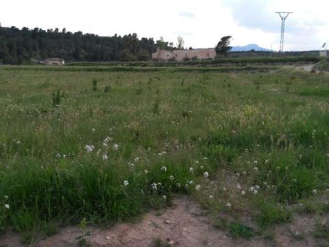 Local Comercial en venta en Noroeste, Murcia