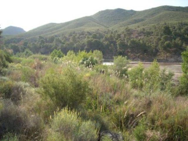 Local Comercial en venta en Cabezo de Beor, Moratalla